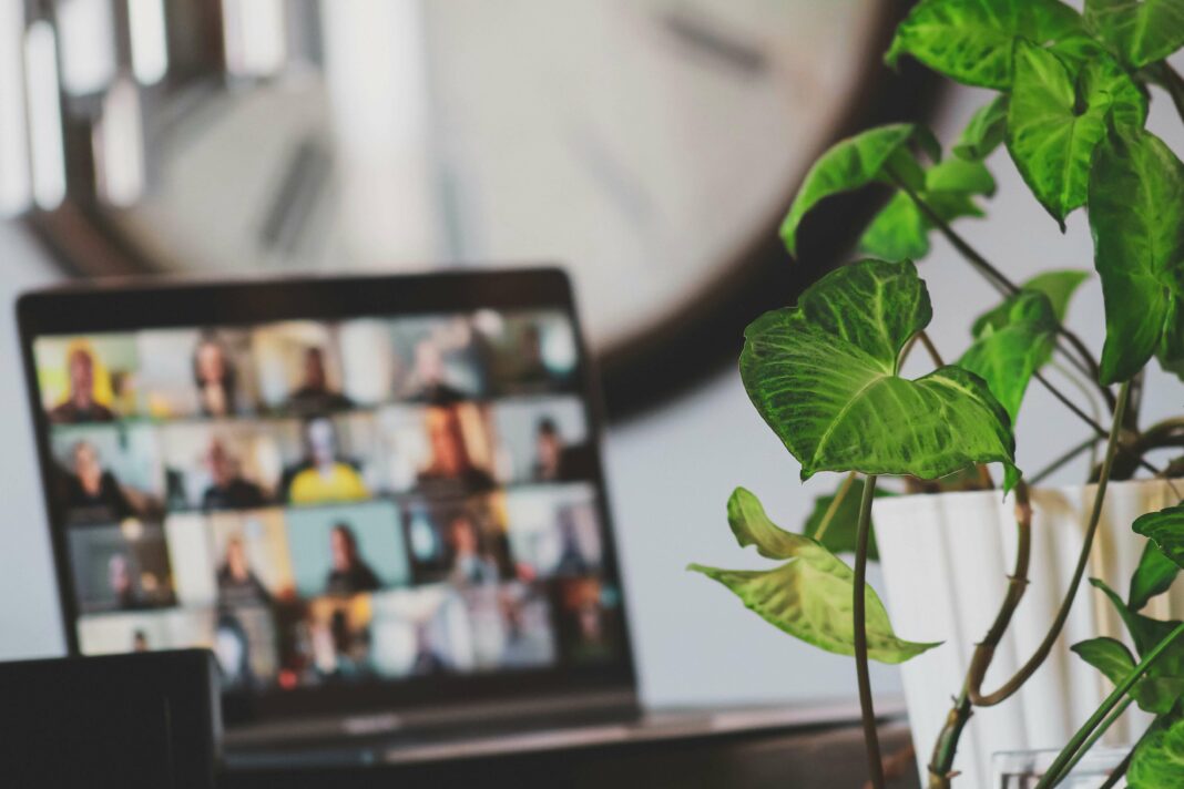 How Does VoIP Impact Network Bandwidth Video calling on laptop with plant