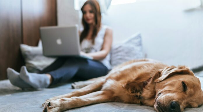 How Does Broadband Affordability Impact Low-Income Communities? Woman working on bed with dog