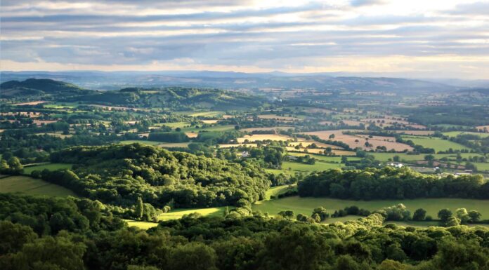 Trooli FTTP Network Now Available Through Zen Internet Rural England