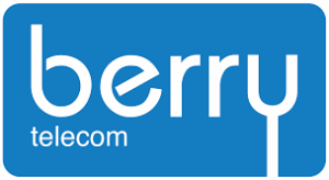 Berry Logo