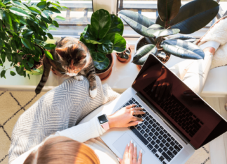 8 Broadband Features Perfect For Freelancers Freelancer