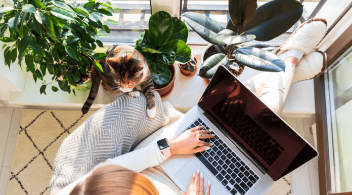 8 Broadband Features Perfect For Freelancers Freelancer