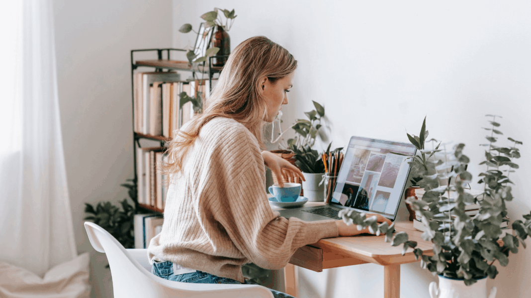 Freelancer Freelancer