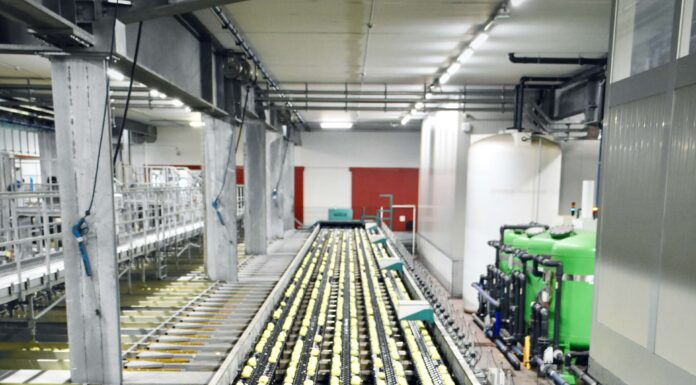 The Role of Fibre Broadband in Warehouse Automation