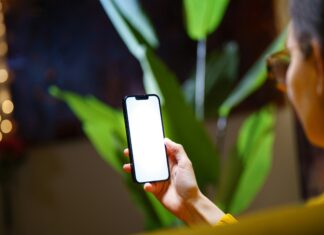 What to Check If Your Mobile Broadband Isn’t Connecting checking-mobile-phone-with-plant-in-background