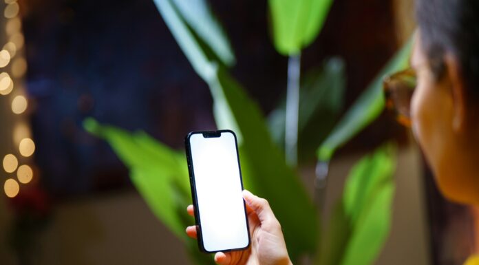 What to Check If Your Mobile Broadband Isn’t Connecting checking-mobile-phone-with-plant-in-background