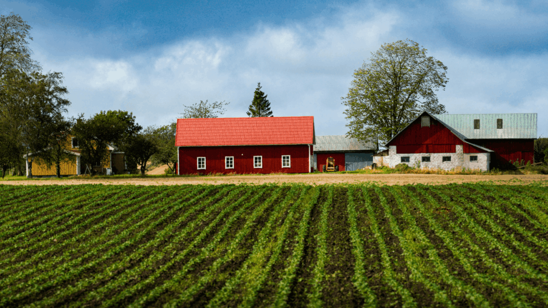 rural-farm-scaled