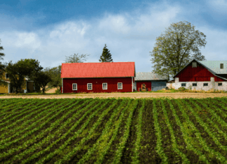 5 Rural Broadband Providers Supporting Farms And Agribusiness rural-farm-scaled