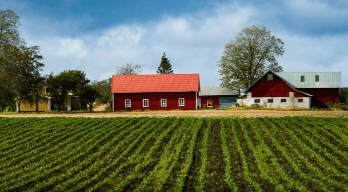 5 Rural Broadband Providers Supporting Farms And Agribusiness rural-farm-scaled